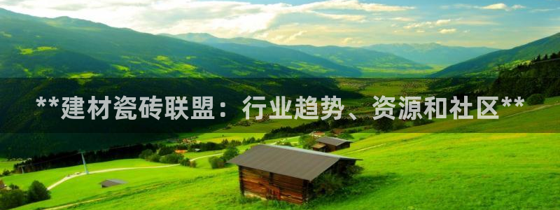 杏鑫官方平台怎么样啊安全吗