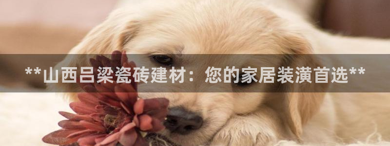 杏鑫平台提供