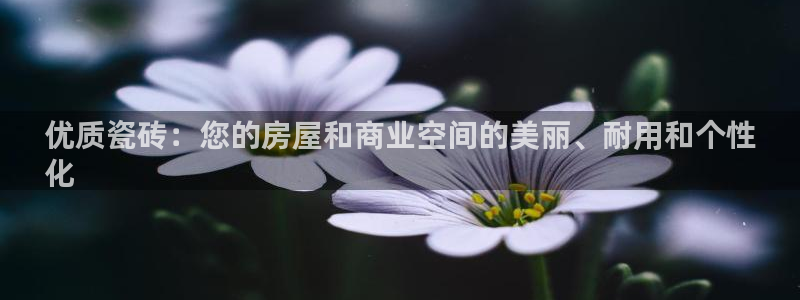 杏鑫平台招商电话