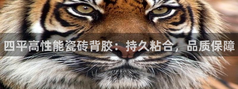 杏鑫平台登陆