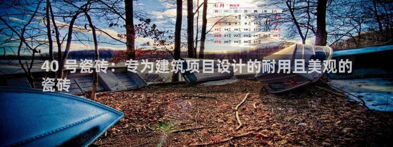 杏鑫官方平台怎么样啊可靠吗
