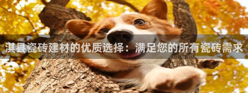 杏鑫官方平台怎么样