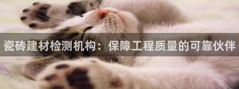 杏鑫手机客户端