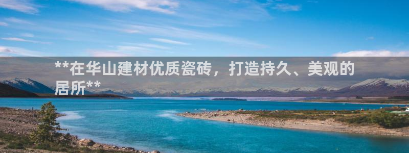 杏鑫官方app代理