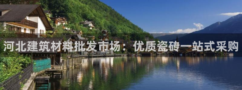 杏鑫平台代理注册登录不了怎么办呀苹果