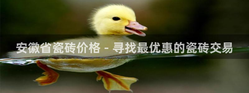 杏鑫娱乐官方网站客户端