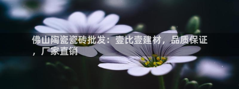 杏鑫官网最新信息新闻报道