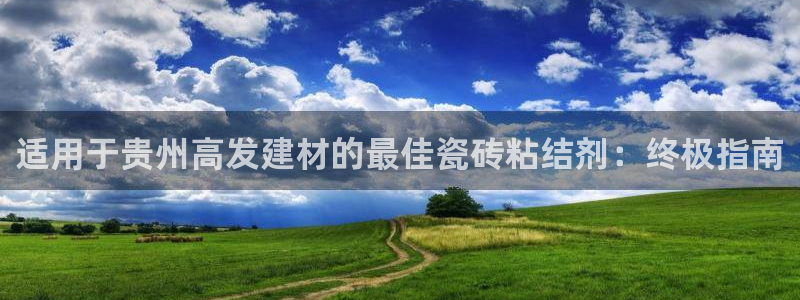 杏鑫平台招商怎么样