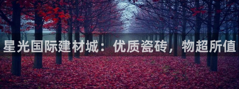 杏鑫平台代理怎么做