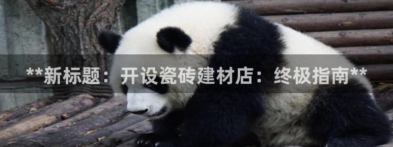 杏鑫平台代理注册流程