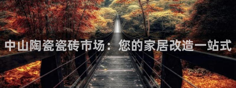 杏鑫官方平台怎么样啊安全吗