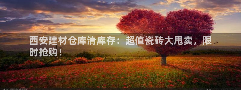 杏鑫平台是黑平台吗是真的吗