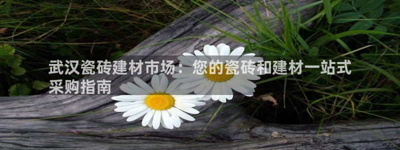 杏鑫平台代理怎么样啊