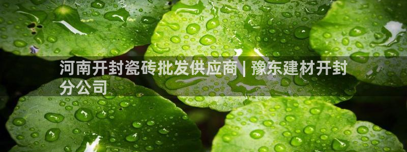 杏鑫平台是黑平台吗知乎