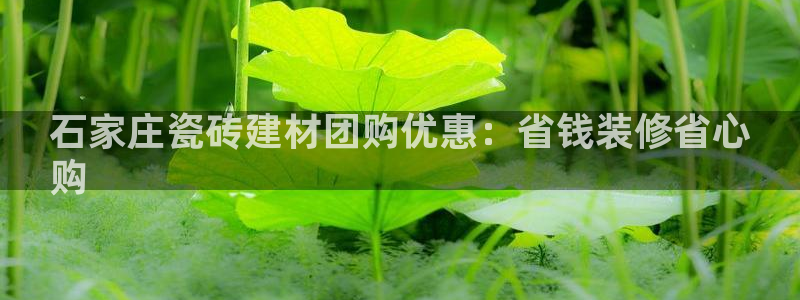 杏鑫娱乐官网登录