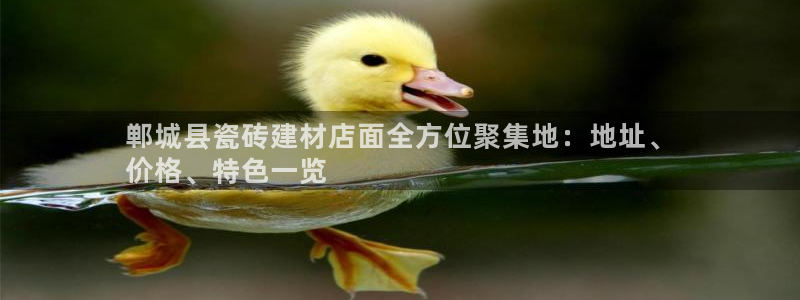 杏鑫平台招商电话号码查询