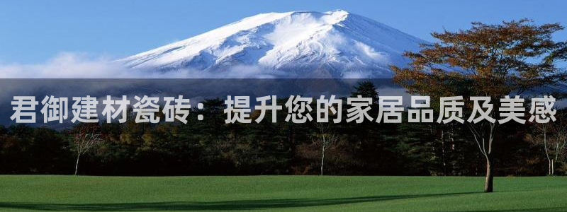 杏鑫3主管