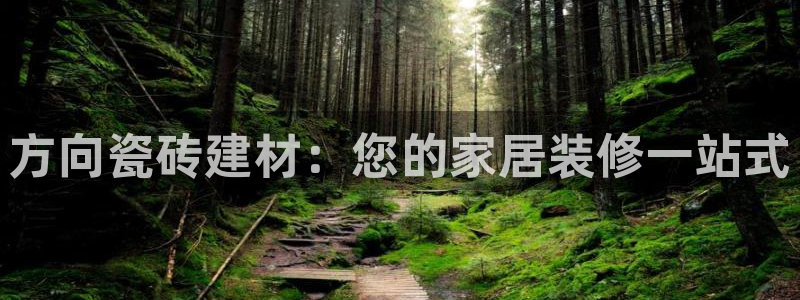 杏鑫有亏损返点吗