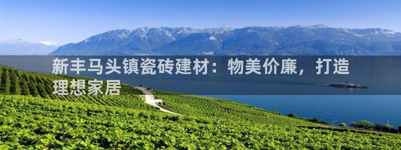 杏鑫平台注册入口在哪