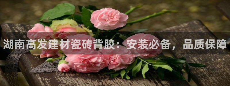 杏鑫招商总代