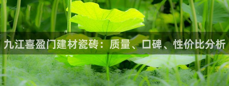 杏鑫注册登录平台是什么