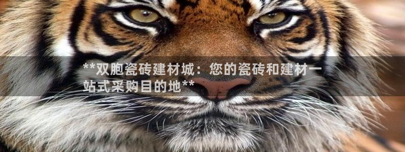 杏鑫娱乐是真的吗