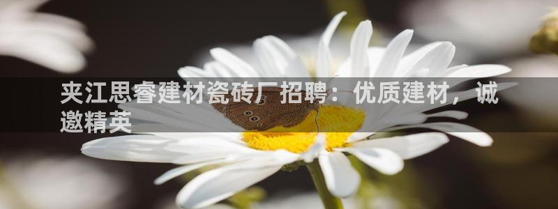 杏鑫平台测速怎么样