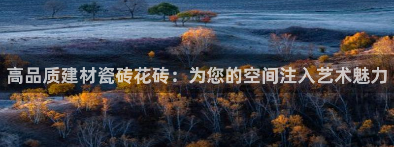 杏鑫官方平台怎么样