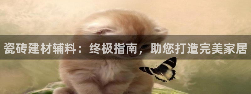 杏鑫平台待遇
