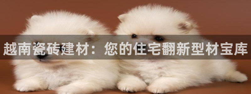 杏鑫娱乐是真的吗还是假的
