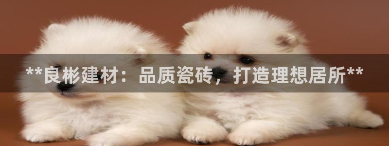 杏鑫平台是黑平台吗是真的吗