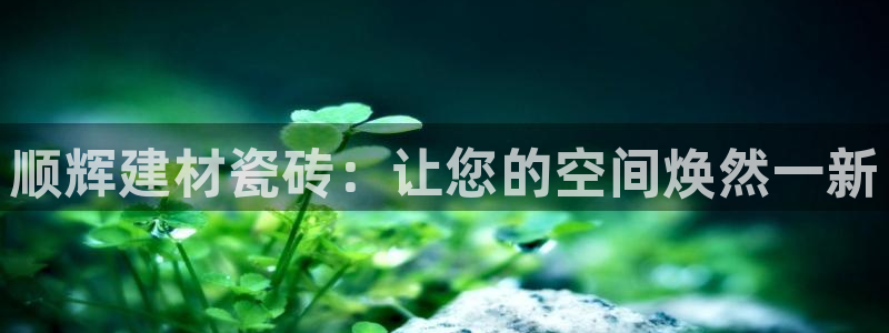 杏鑫主管