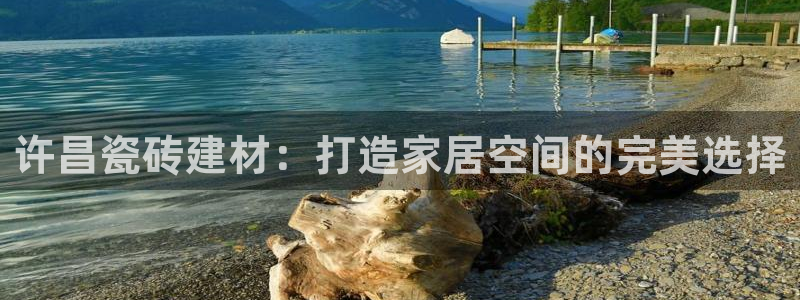 杏鑫平台代理注册多少钱一个