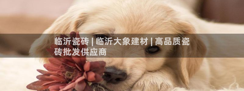 杏鑫官网注册账号密码是什么