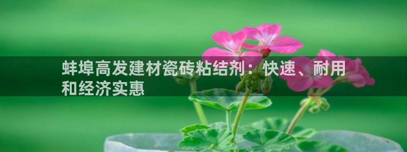 杏鑫平台招商
