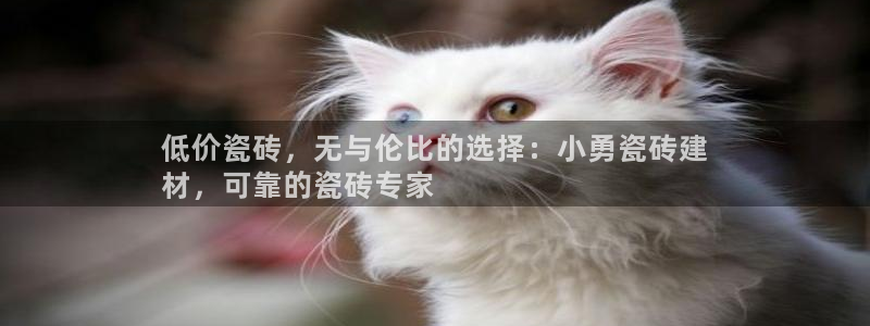 杏鑫注册登录地址