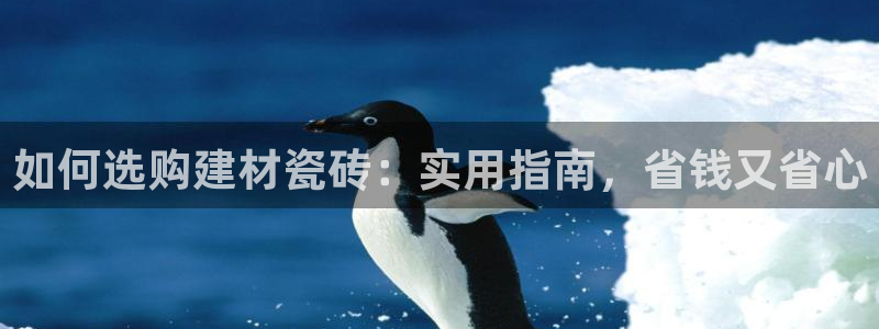 杏鑫平台号7O777