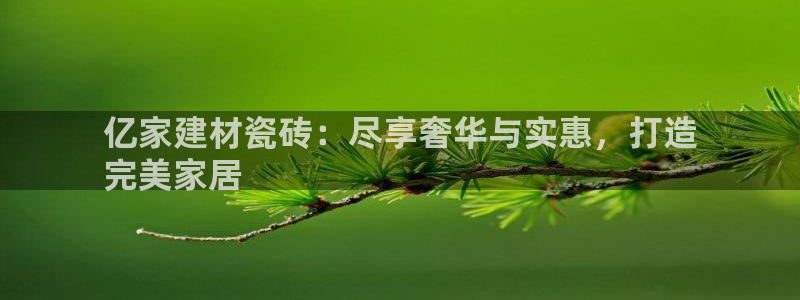 杏鑫平台是黑平台吗
