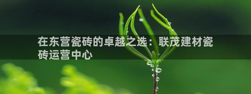 杏鑫平台怎么样黑钱吗安全吗