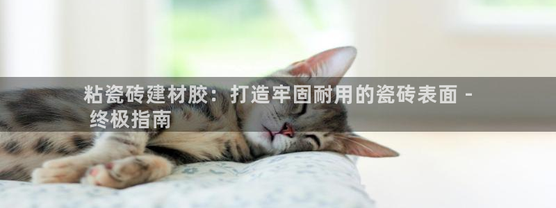 杏鑫娱乐是真的吗知乎