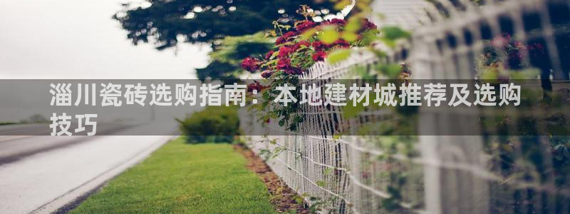 杏鑫平台怎么样