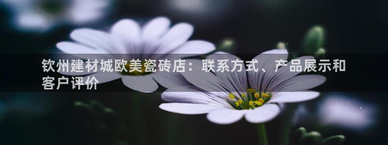杏鑫平台野马联盟