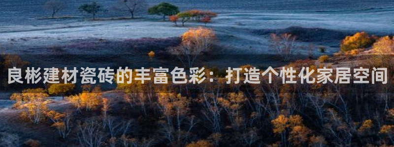 杏鑫平台代理注册流程及费用