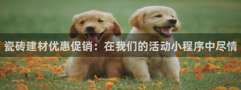 杏鑫平台怎么样