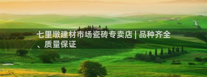 杏鑫平台代理怎么做的