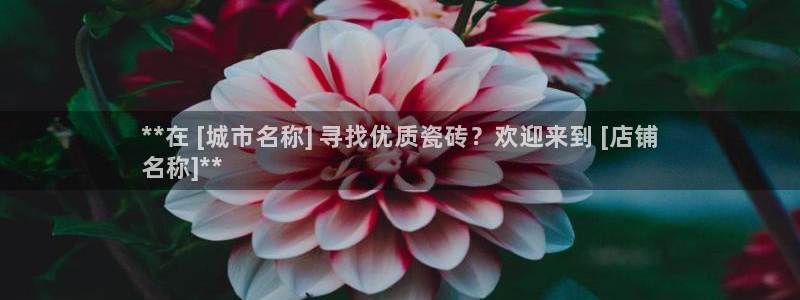 杏鑫平台代理注册多少钱啊