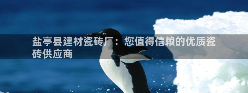 杏鑫平台招商