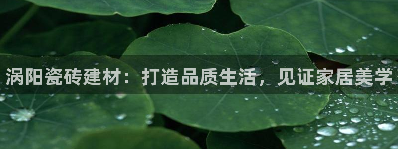 杏鑫平台怎么样黑钱吗是真的吗知乎