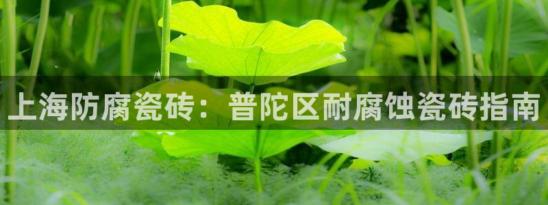 杏鑫官方app代理
