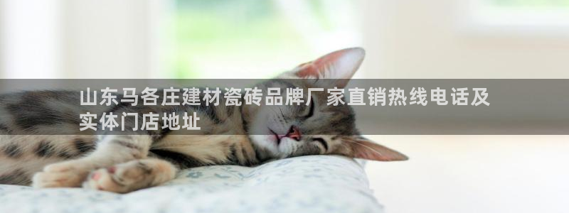 杏鑫娱乐官网